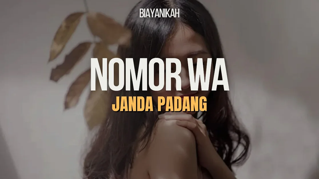 Nomor WA Janda Padang
