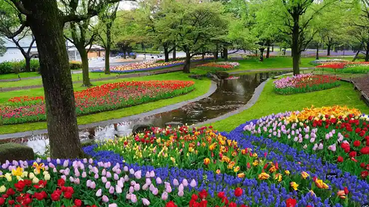 Kampung Tulip Bandung