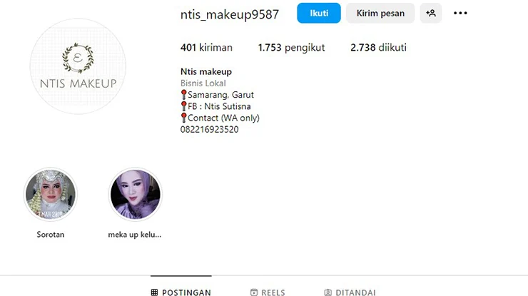 Ntis Make Up