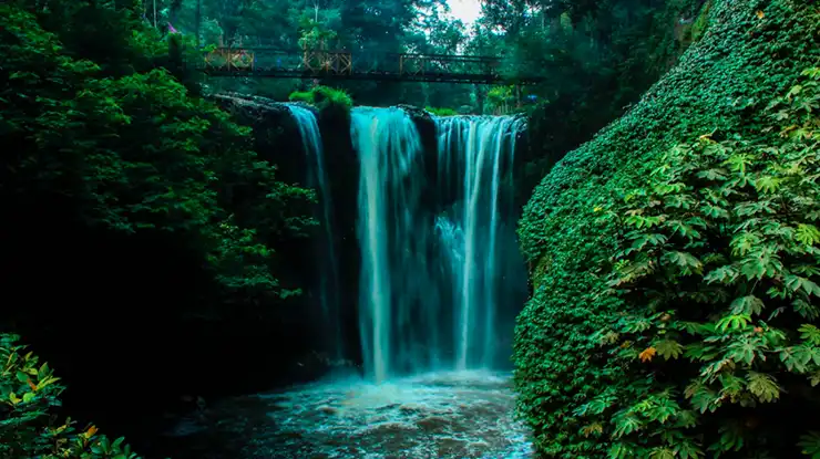 Taman Hutan Raya Djuanda